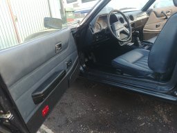 Datsun (18)